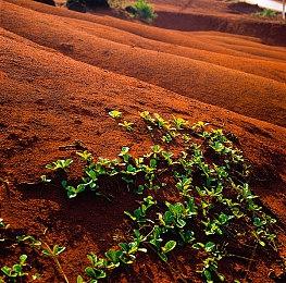 《波斯王子：Rogue》发布“战士的崛起”更新 难度修改器上线